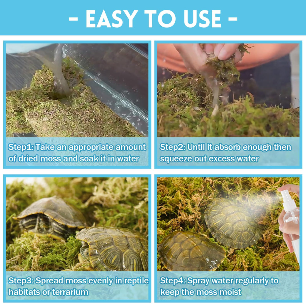 Riare moss promotes digging and enrichment for burrowing reptiles and rodents.