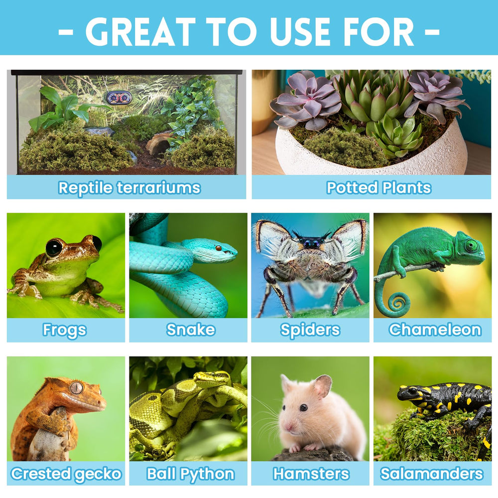 Riare moss forest-green bedding adds moisture management and aesthetic to terrariums.