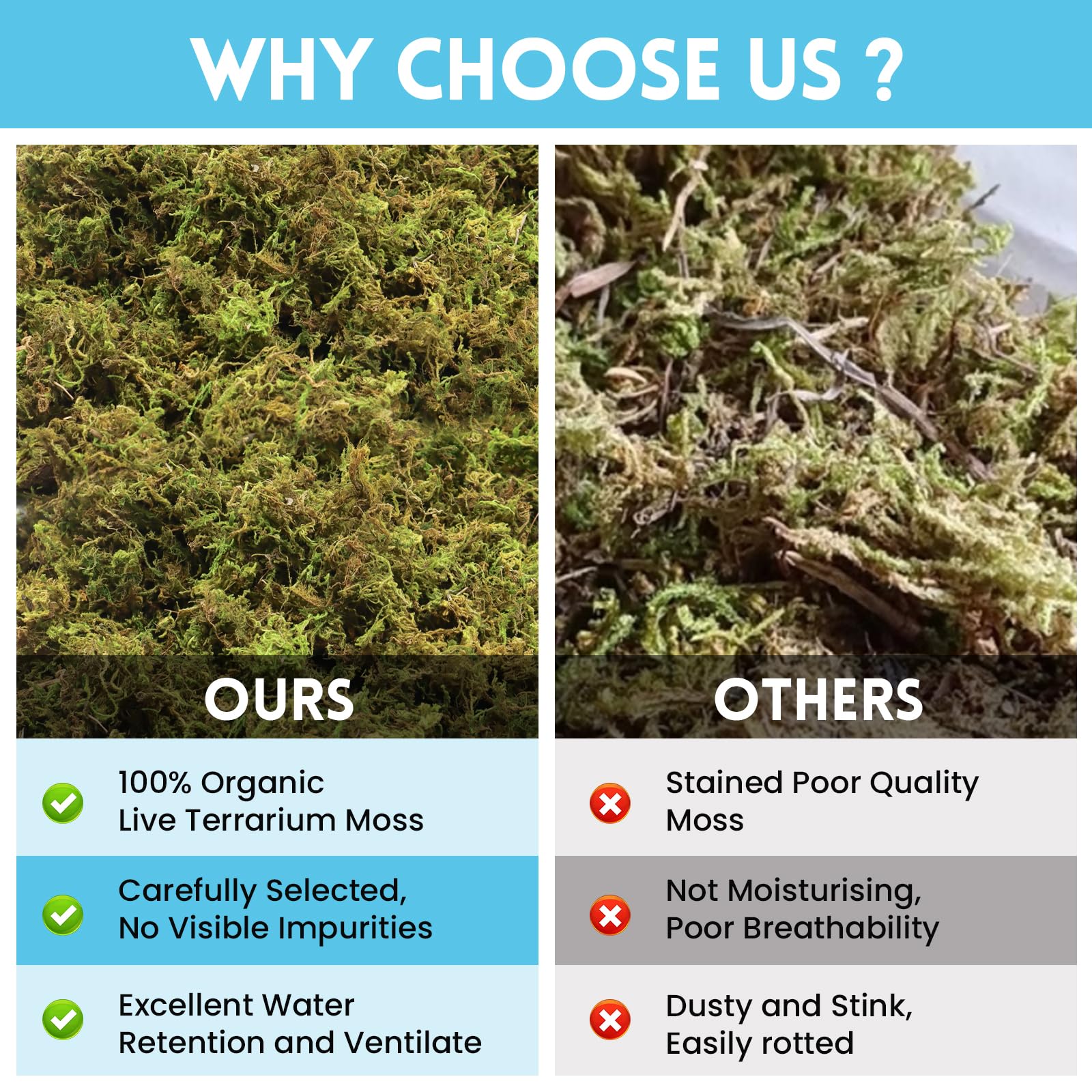 Riare moss as hatching substrate maintains humidity for reptile eggs.
