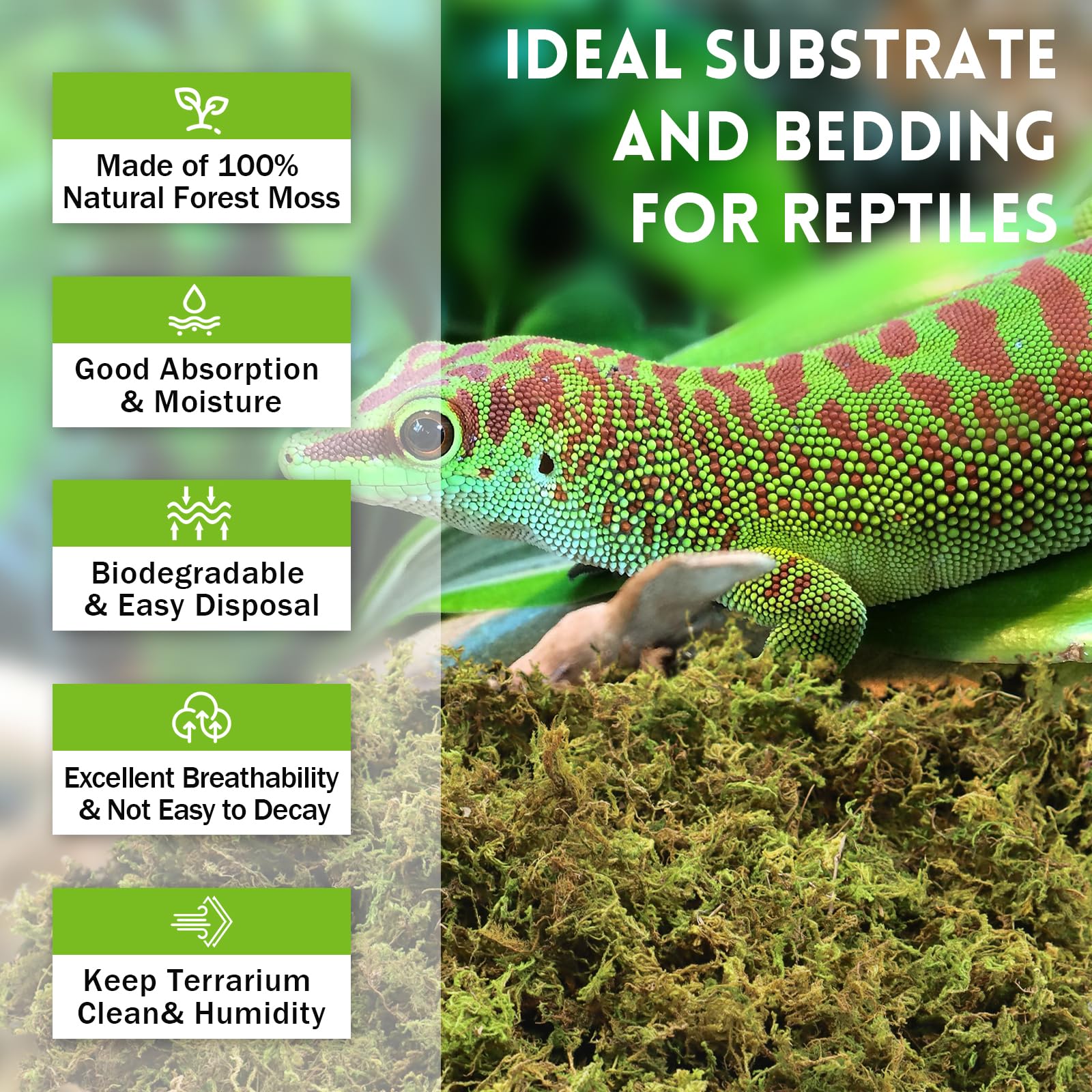 Riare sphagnum moss moisture absorption—expands when wet to maintain humidity.