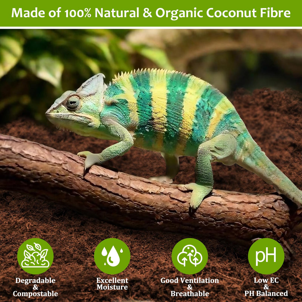 Riare substrate odor-absorber keeps terrariums fresher with natural moisture control