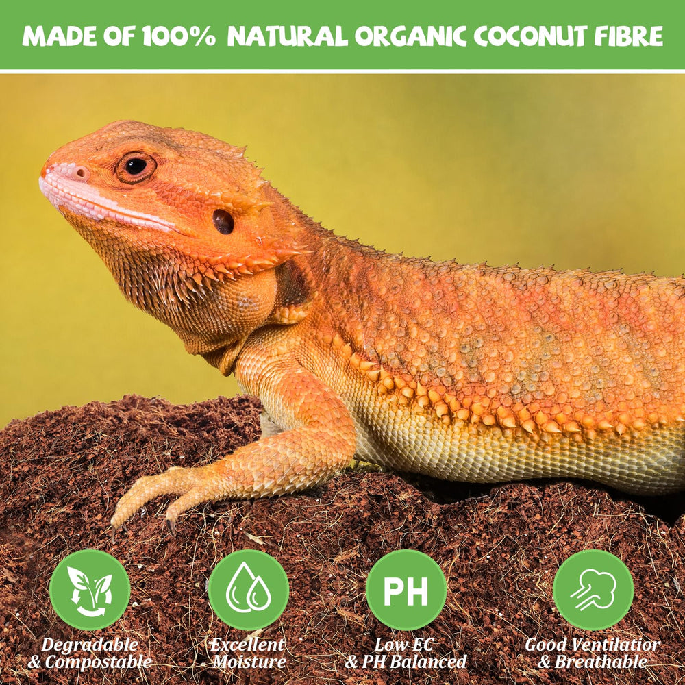 Riare terrarium substrate showcases moisture retention and odor control benefits.