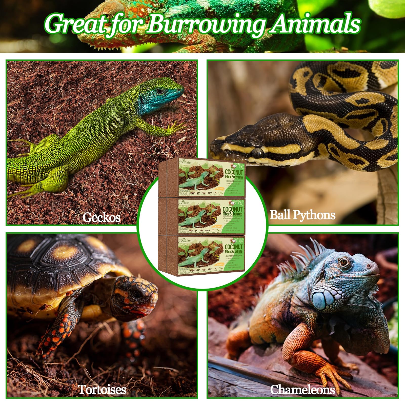 Riare universal-substrate image shows soft, breathable bedding for multiple species.