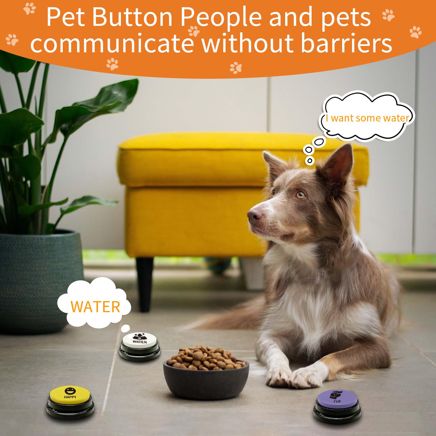 RIBOSY button demonstrates 30-second record playback.