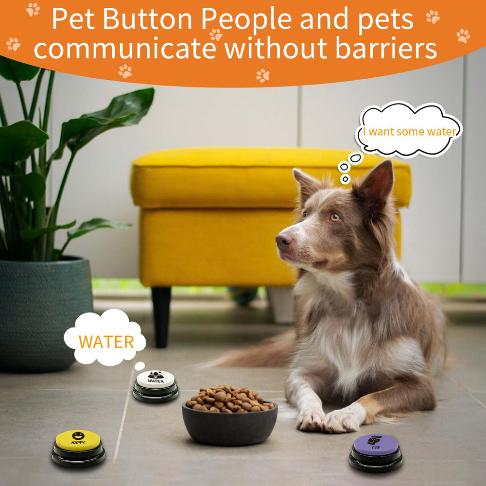 RIBOSY button demonstrates 30-second record playback.