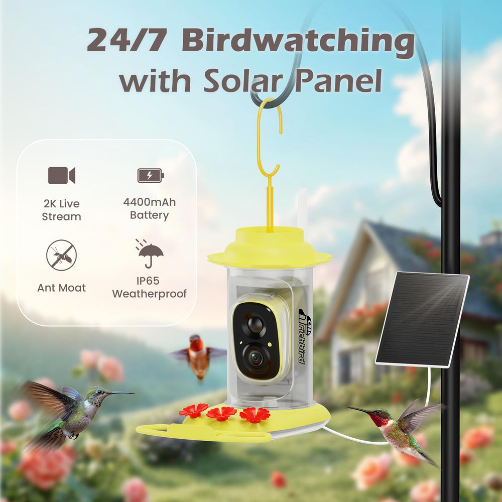 RichBird coolfly interactive app interface showcases community birding features and clips.