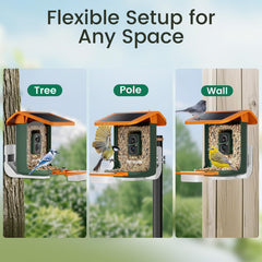 RichBird IP65 weatherproof housing ensures reliable recording through rain and snow.