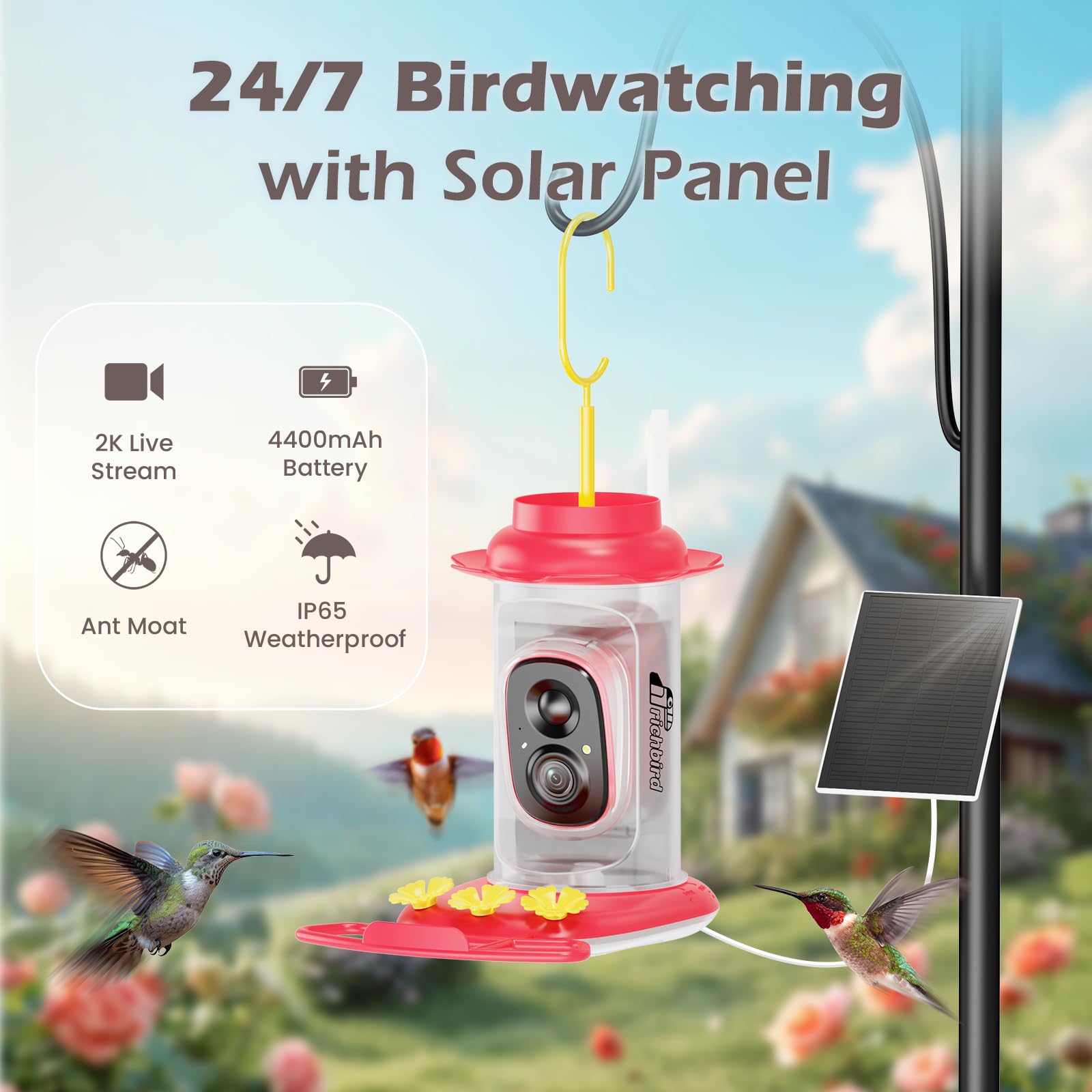 RichBird Smart Hummingbird Feeder 20oz reservoir highlights easy, generous feed