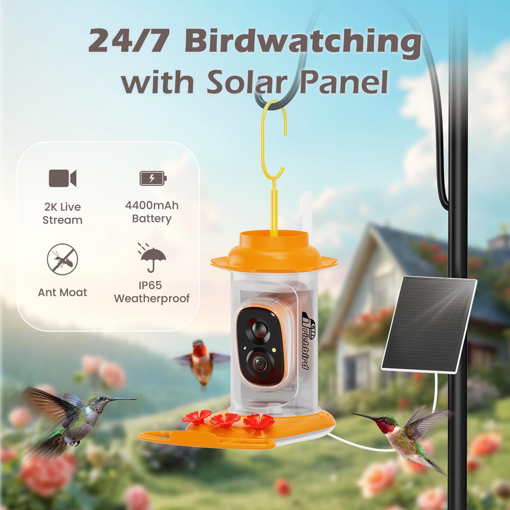 RichBird smart-hummingbird-feeder-camera-back-view shows peripheral activity for enhanced viewing