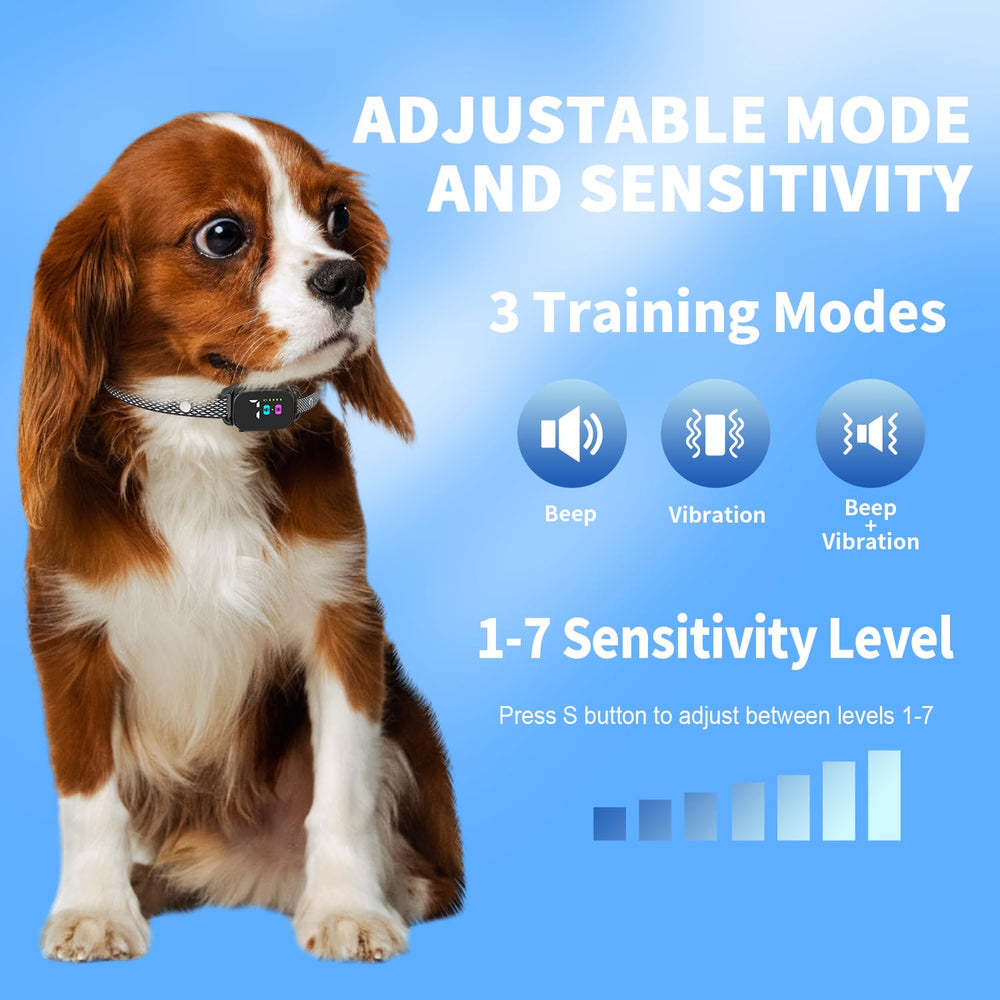 RICIVI display screen shows adjustable settings for tailored training.