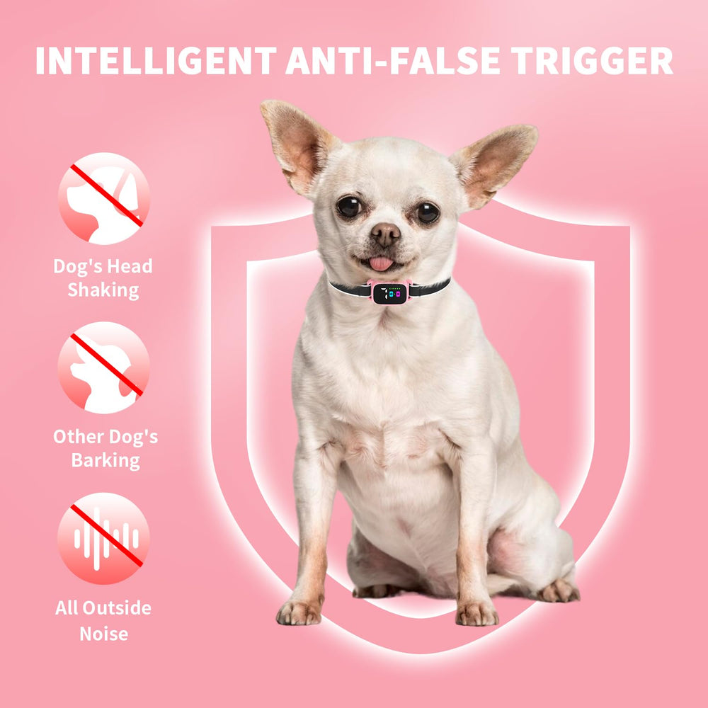 RICIVI small-dog collar showing waterproof design for rainy walks.