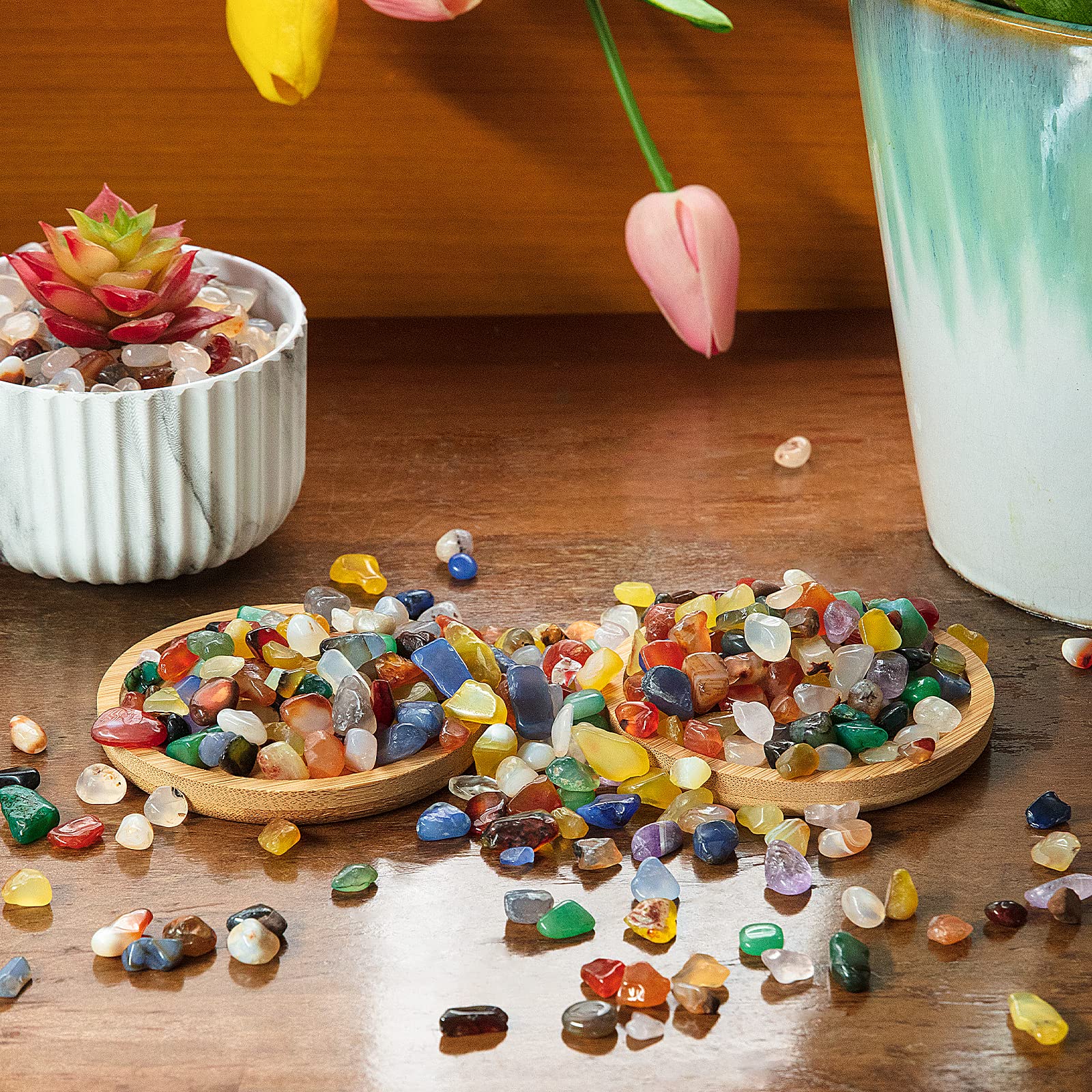 RIFNY decorative rocks used in planters for succulents and color contrast