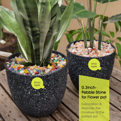 RIFNY polished rocks for aquarium decor with high gloss sparkle and easy-to-clean surface