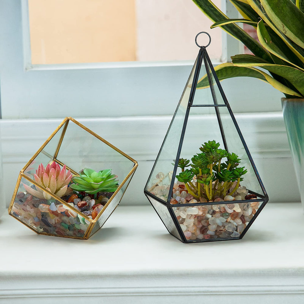RIFNY terrarium decor with polished stones adds visual interest