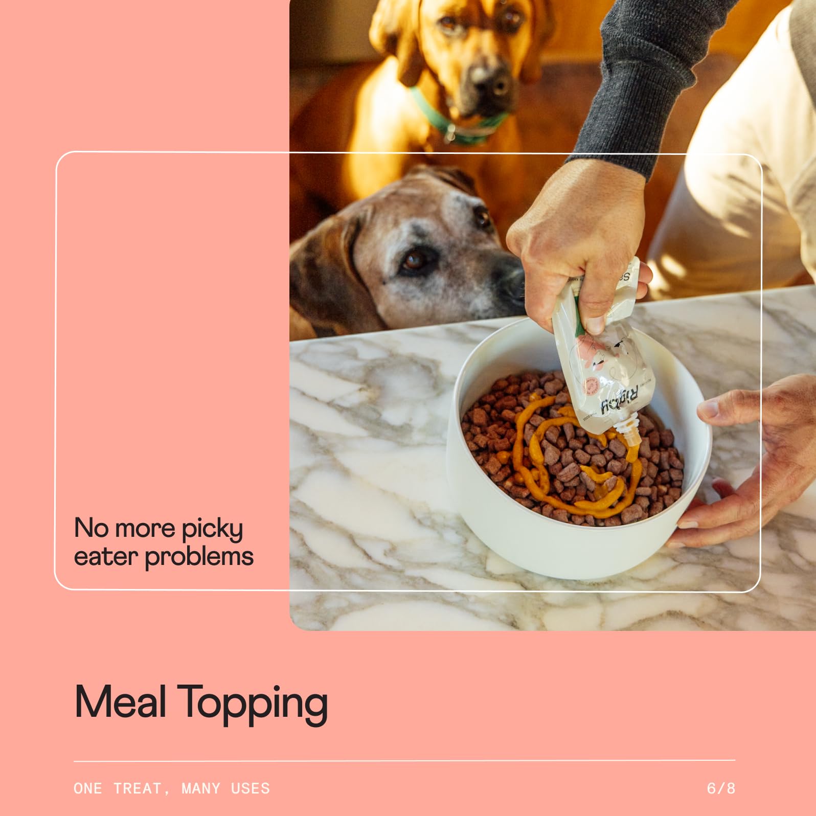 Rigby enrichment via Kongs and lick mats supports engagement