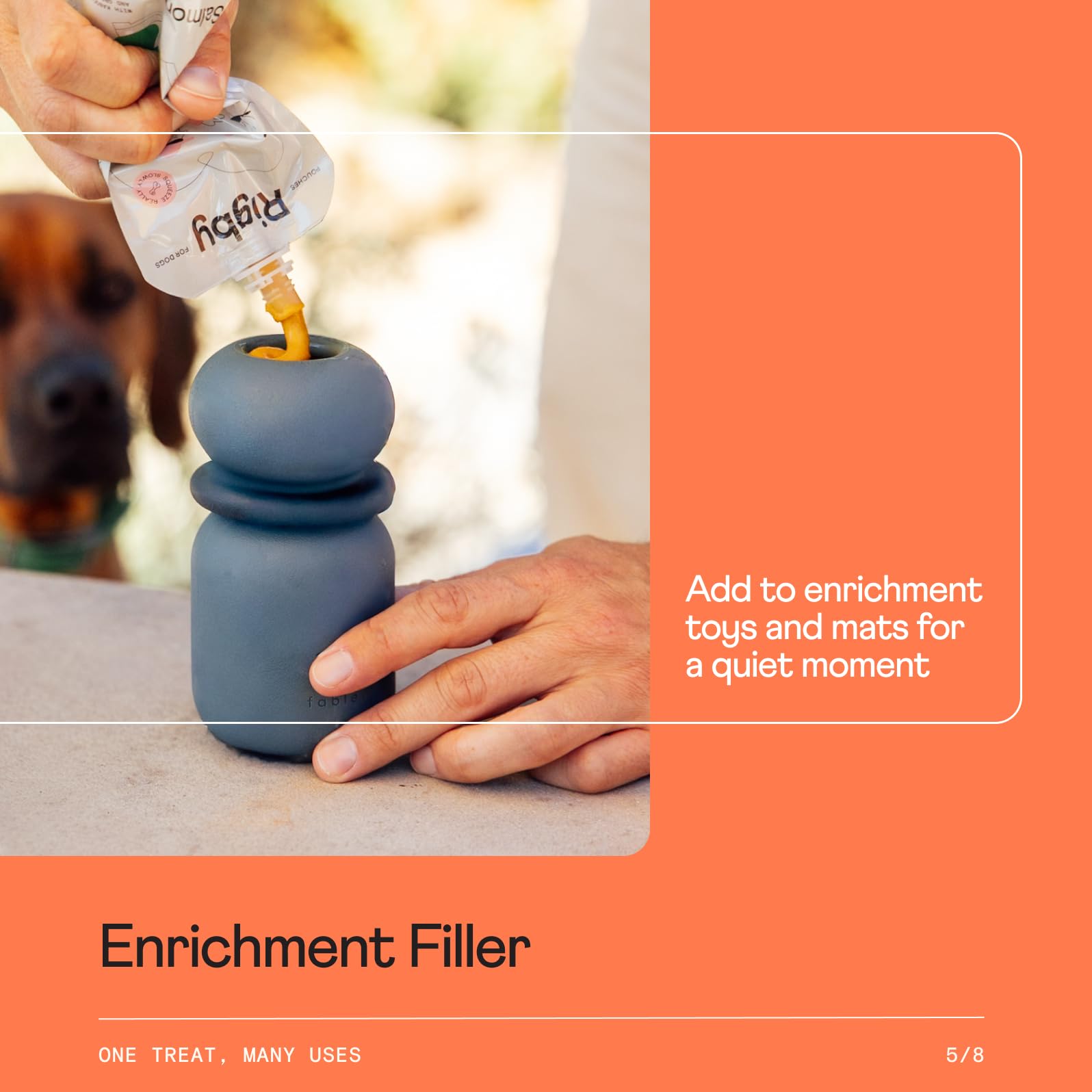 Rigby enrichment via lick mat with real-food texture