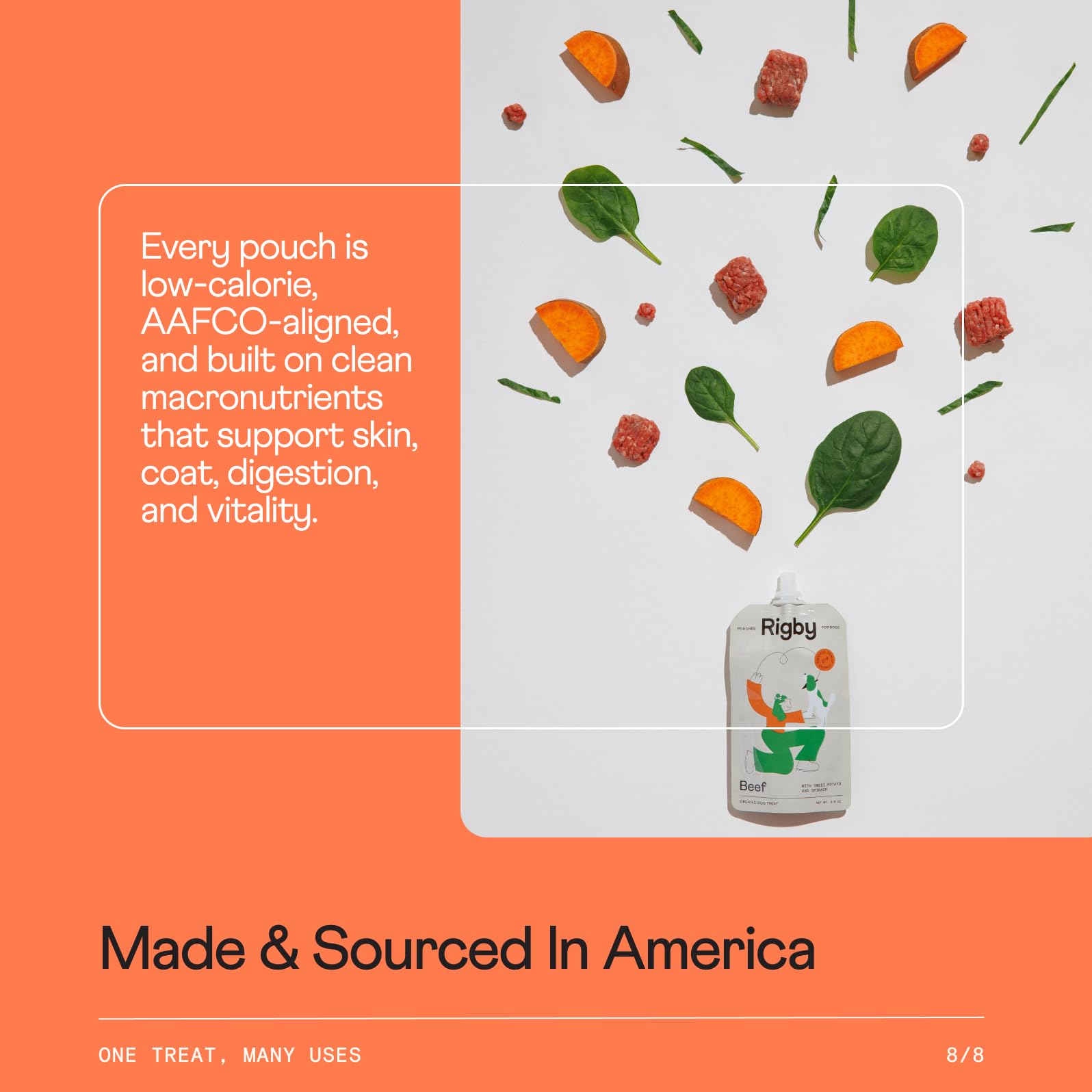 Rigby low-calorie beef pouch supports active dogs