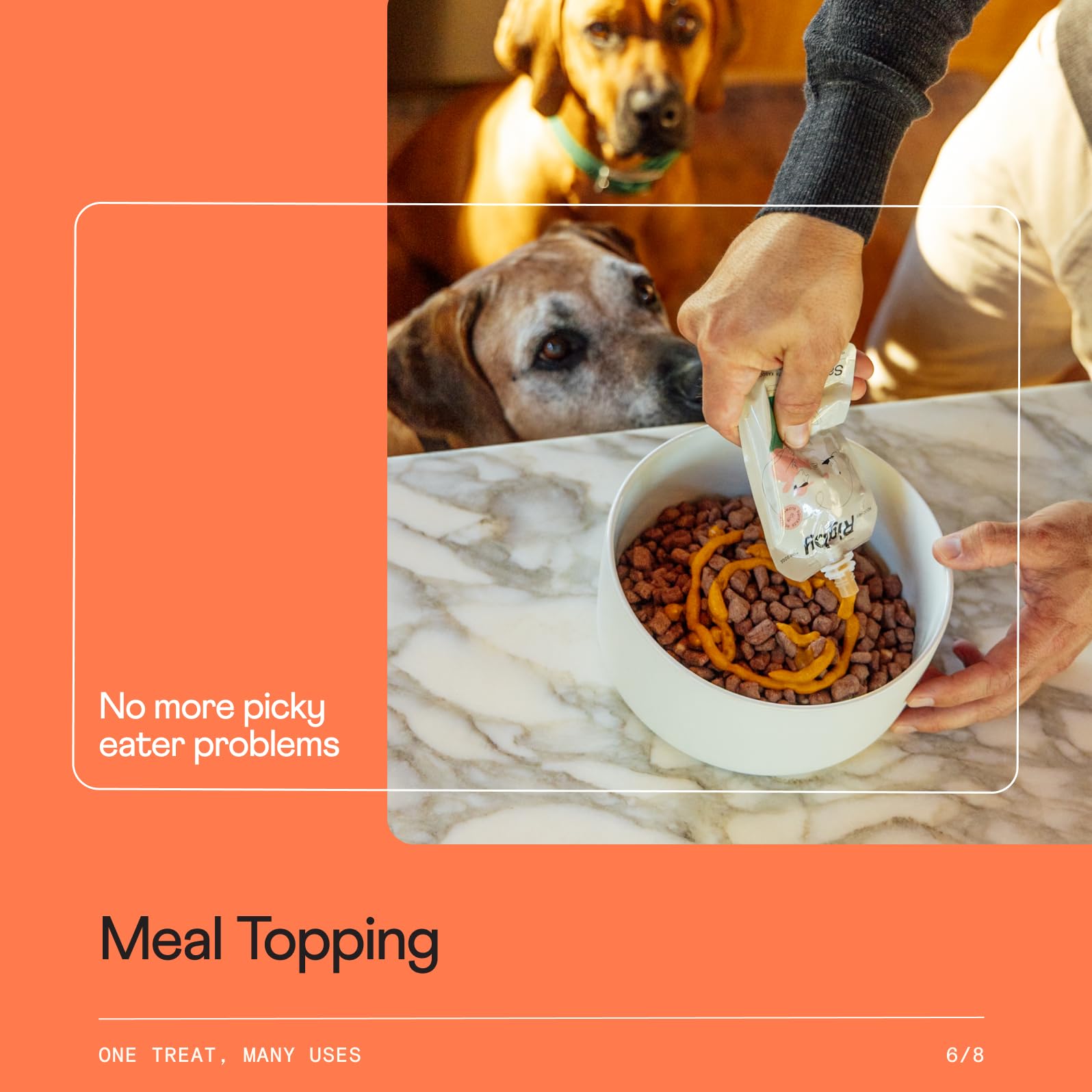 Rigby as a meal topper over kibble for variety