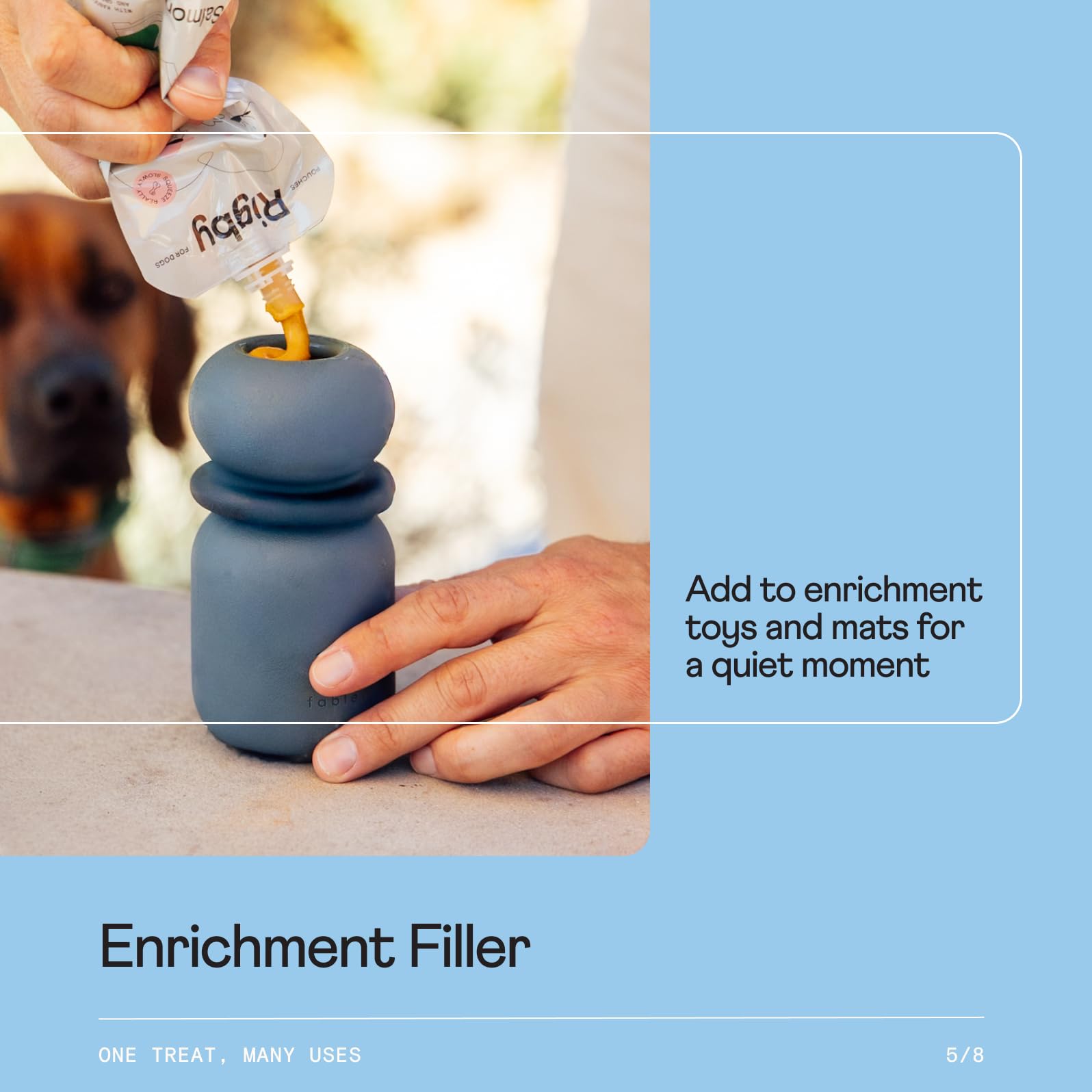 Rigby pill-time reward option for stress-free medication routines.