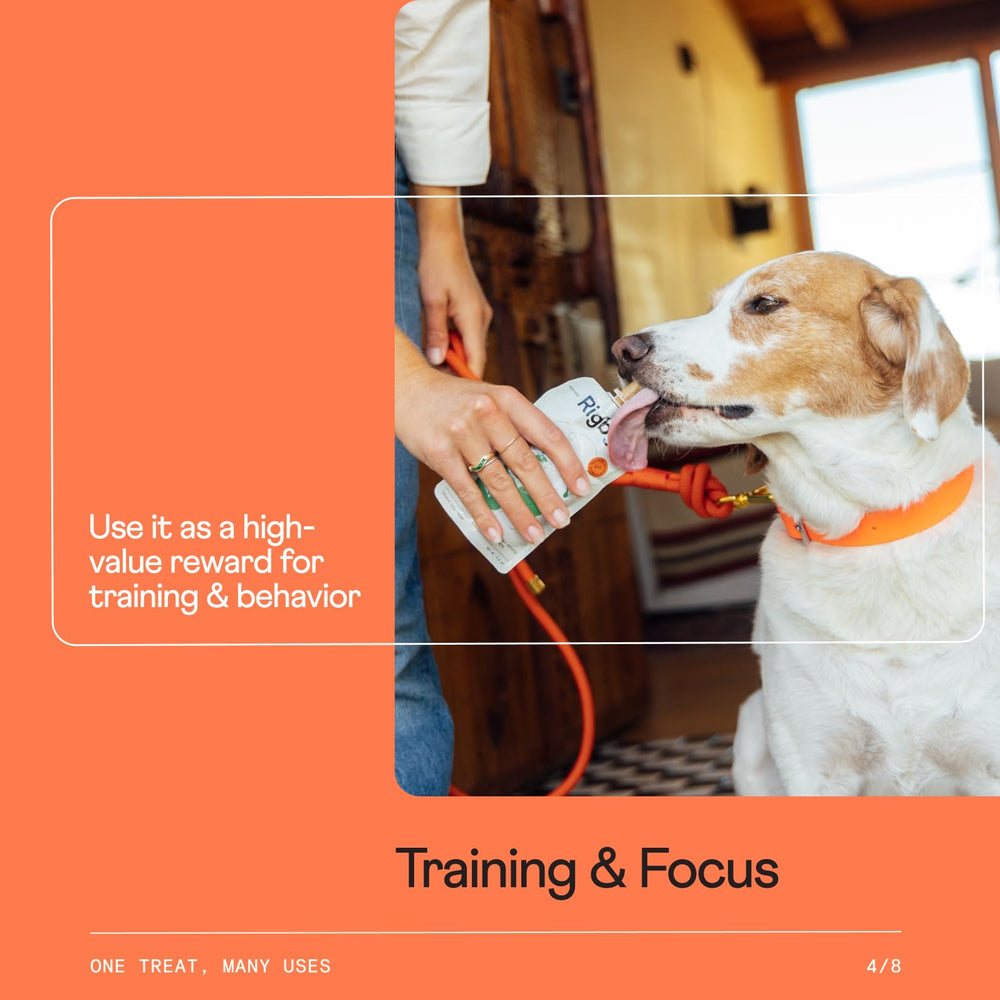 Rigby pouch used for easy pill time with dog