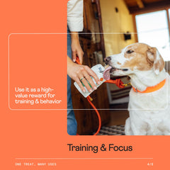 Rigby pouch used for easy pill time with dog