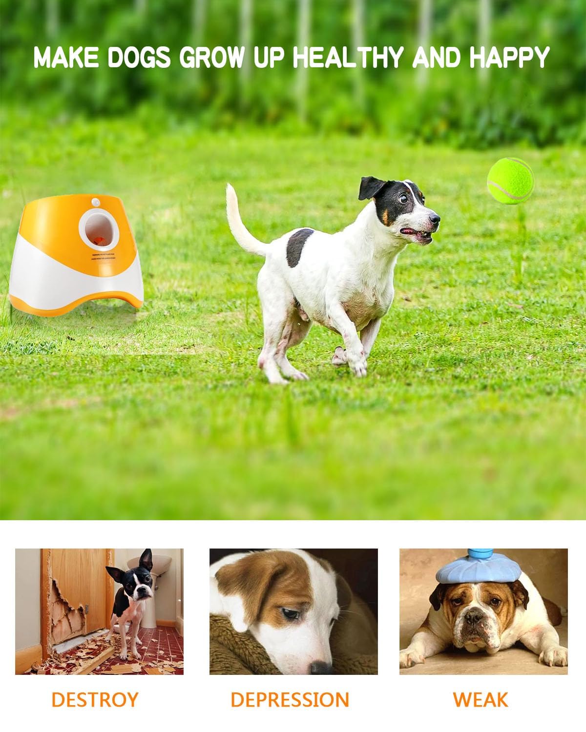 Rigshru ball launcher with a dog playing demonstrates fetch indoors or outdoors.