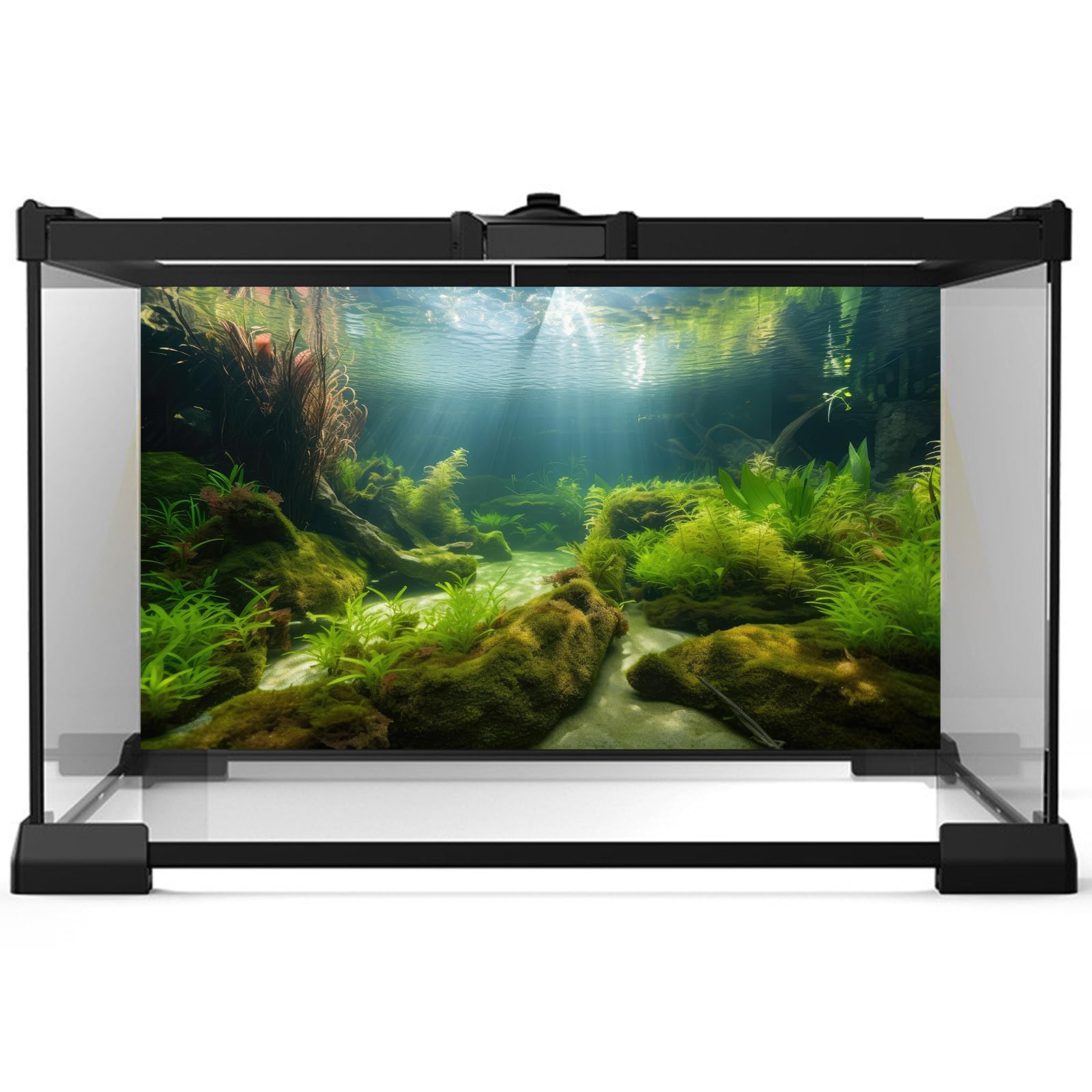 Riivvdise Undersea cave sunlight background adds dimensionality and calming ambience to tanks.