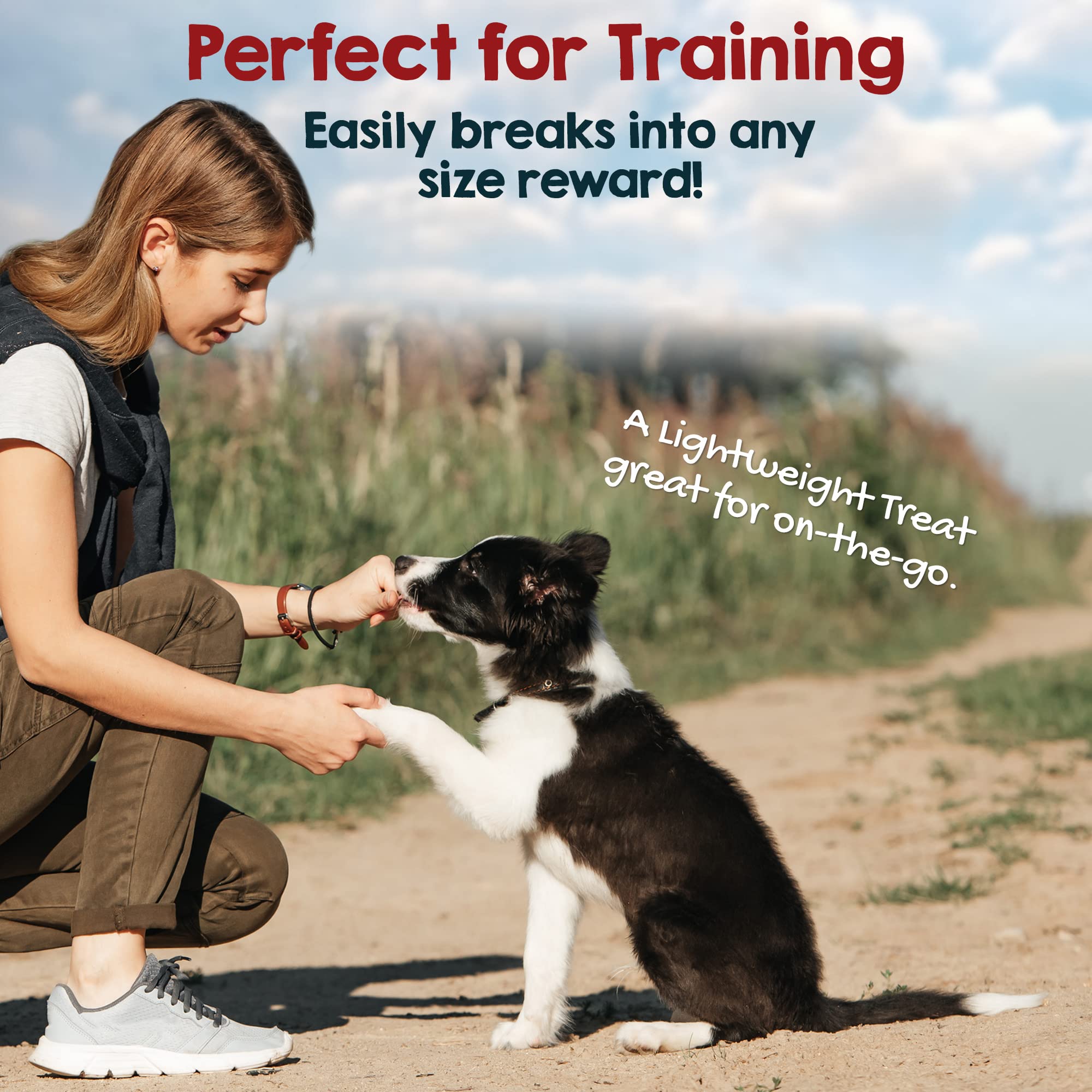 rileys beef-lung-nutrition-visual highlights nutrient-rich single-ingredient option for mindful feeding