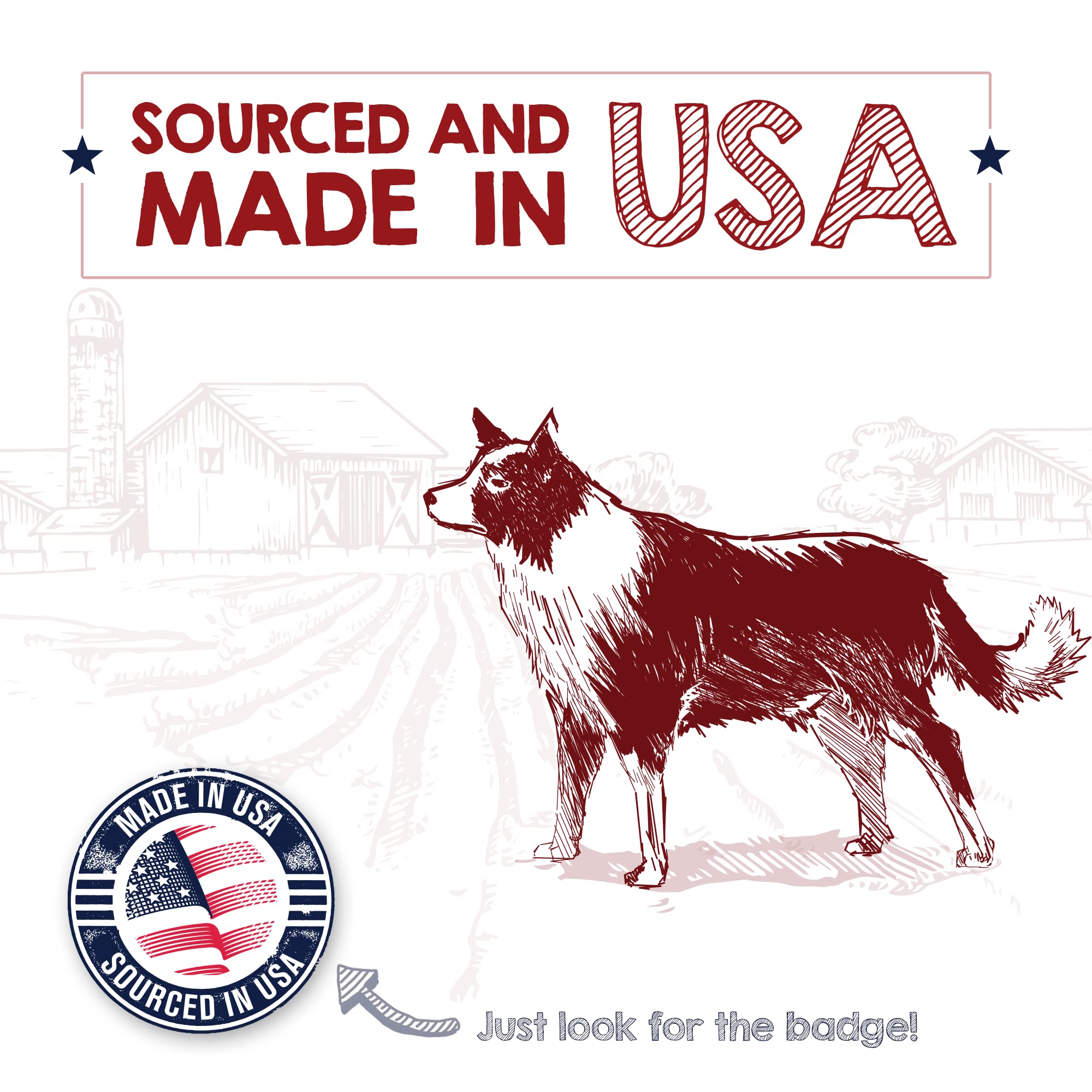 rileys dehydrated-beef-lung-treats-snack-time shows versatile guilt-free snack moments for dogs