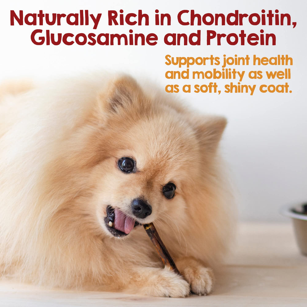 Riley's long-lasting dog chews shown with a focused, contented dog
