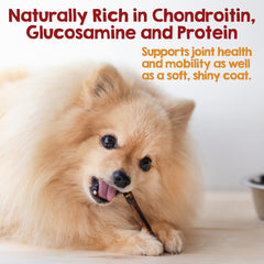 Riley's long-lasting dog chews shown with a focused, contented dog