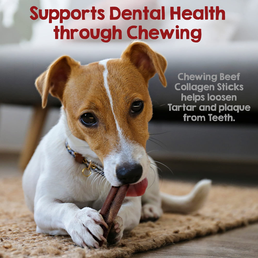 Riley's no raw hide chews provide a safer alternative to traditional rawhide.