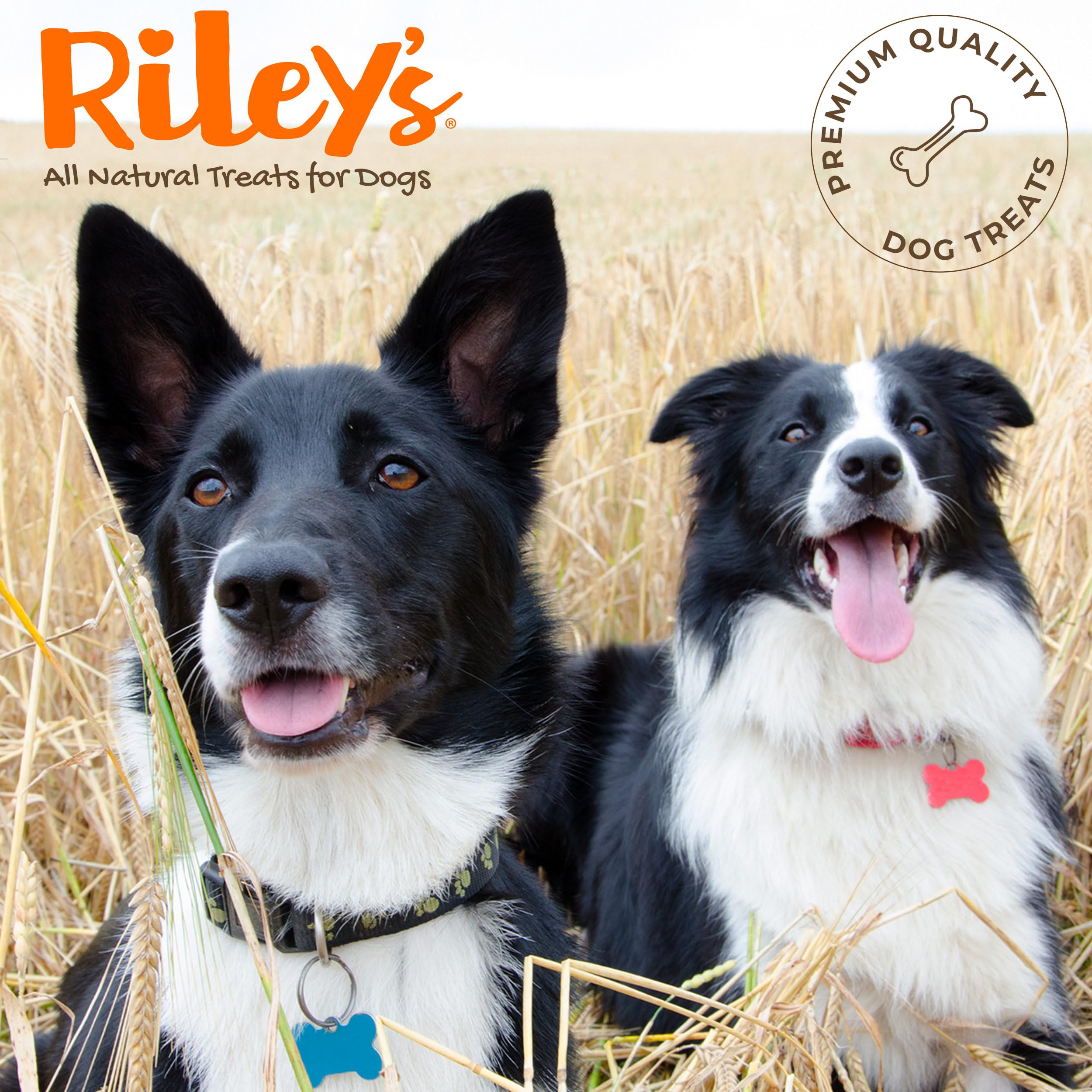 Riley's Pill Wrap 8oz jar providing ample supply for routines