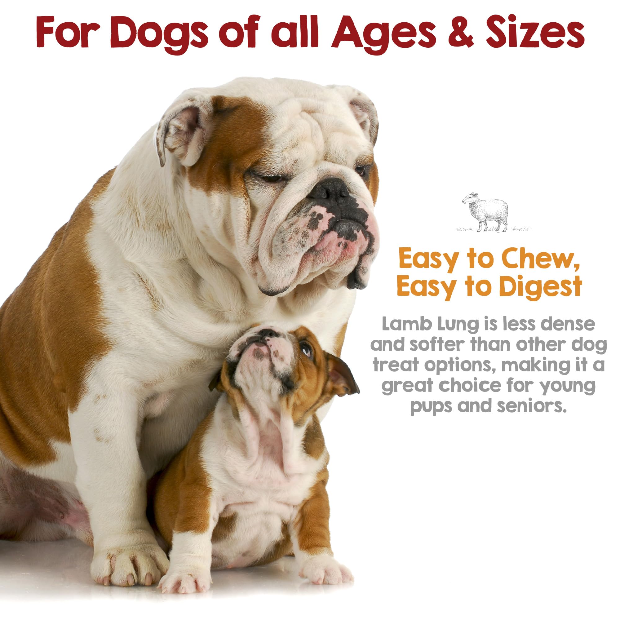 Rileys premium dehydrated lamb-lung dog treats training-use—easily breakable for quick rewards.
