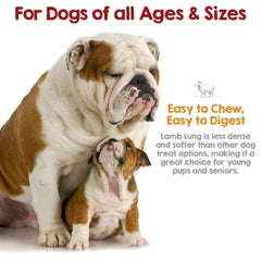 Rileys premium dehydrated lamb-lung dog treats training-use—easily breakable for quick rewards.