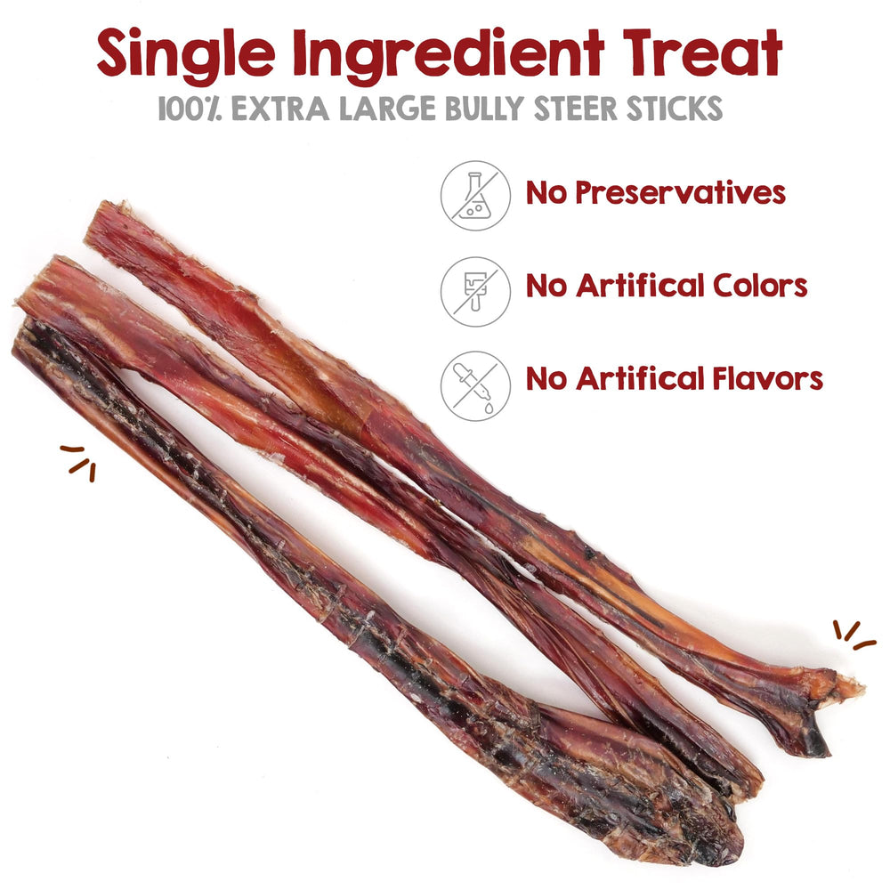Riley's Steer Bully Sticks 12in in-use demonstrates engaging chew for large breeds.