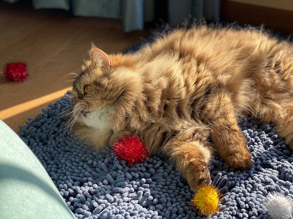 RIMOBUL glitter cat ball used in DIY crafts and decor