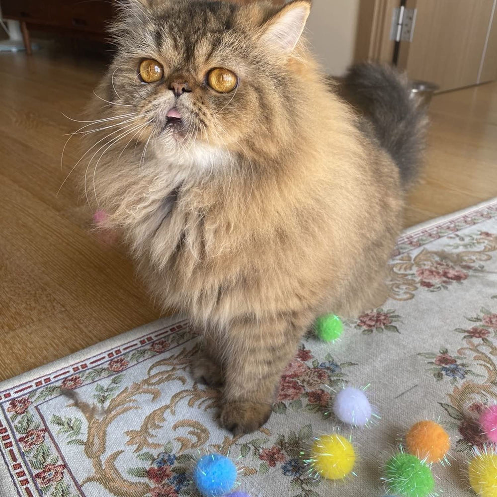 RIMOBUL soft plush ball toy encourages gentle batting and solo play.