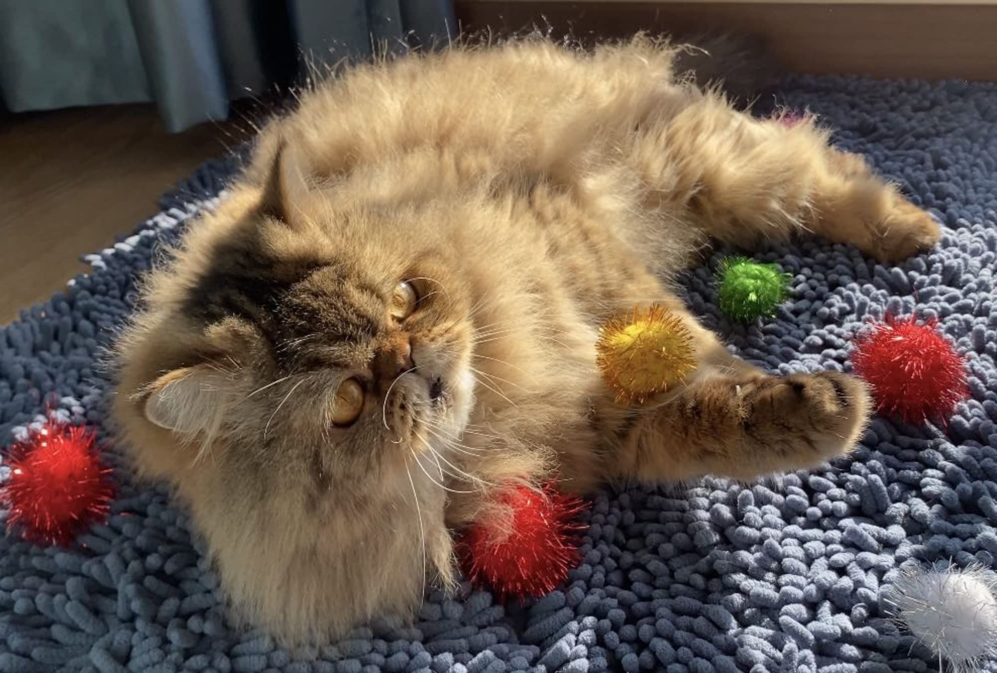 RIMOBUL soft plush cat ball viewed for gentle play
