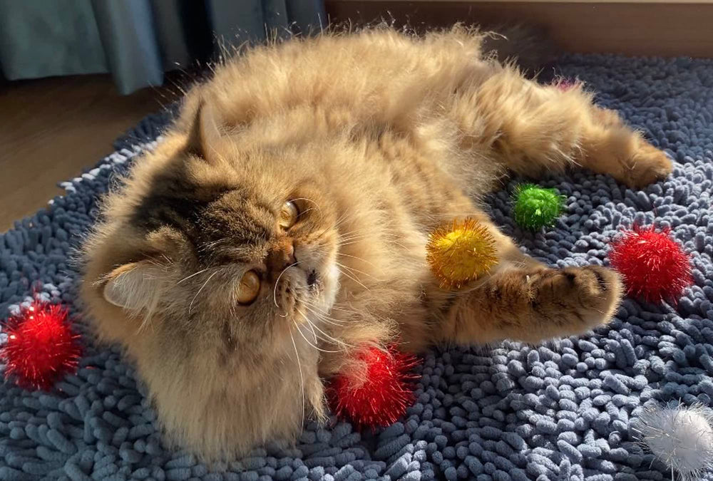RIMOBUL soft plush cat ball viewed for gentle play