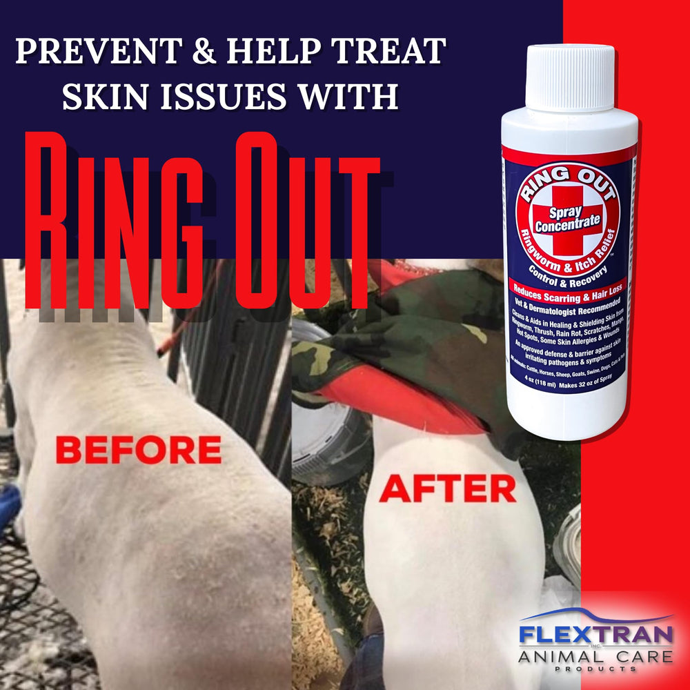Ring Out 32oz spray mix shown after dilution for pet and livestock care