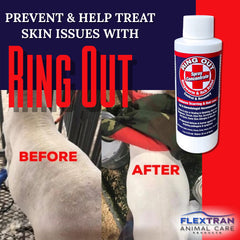 Ring Out 32oz spray mix shown after dilution for pet and livestock care
