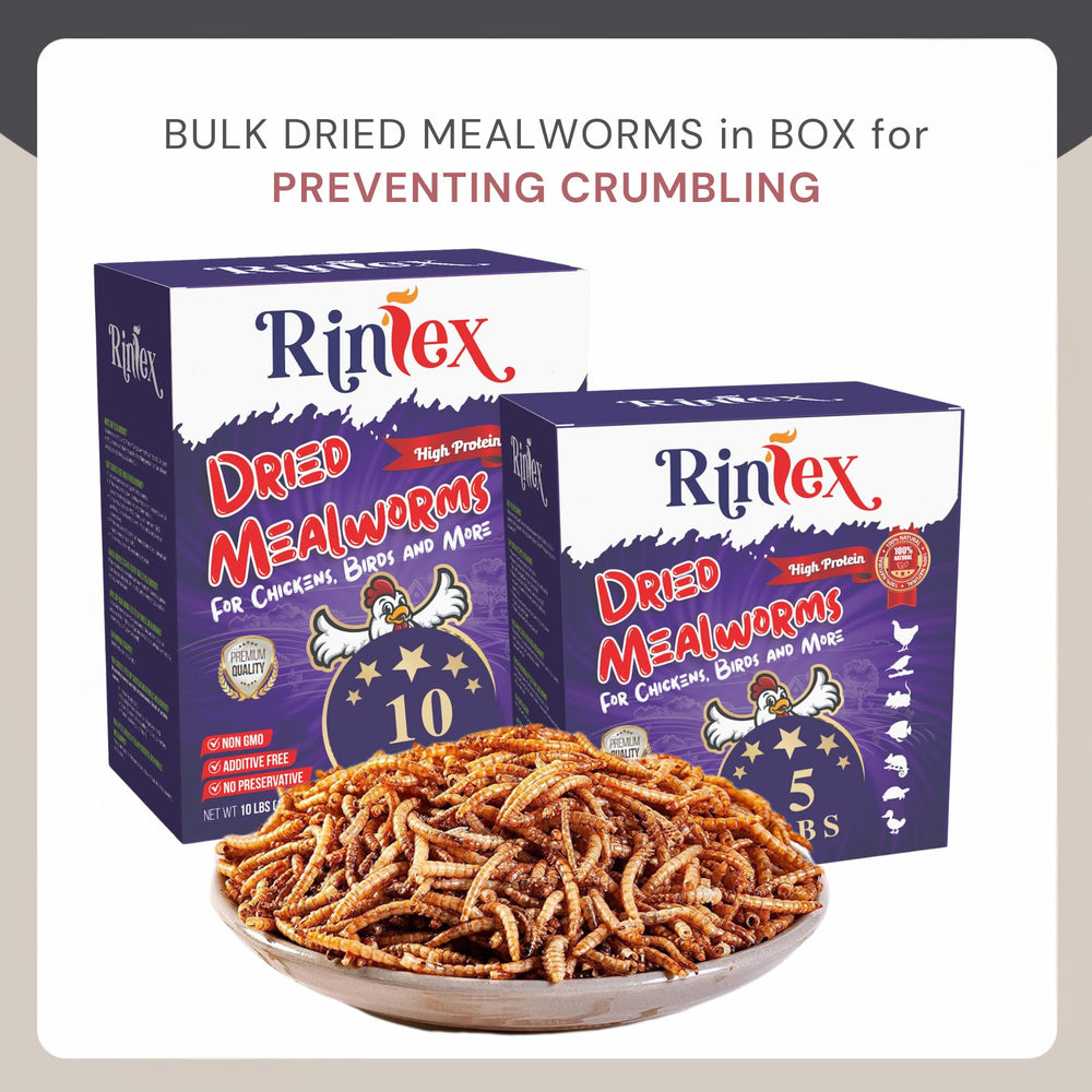 Rinlex dried mealworms promoting healthier feather health in poultry