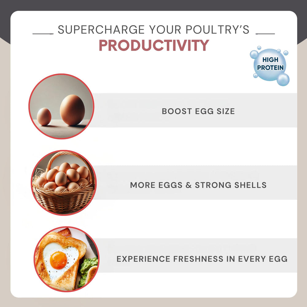 Rinlex dried mealworms label highlights high-protein bird snack