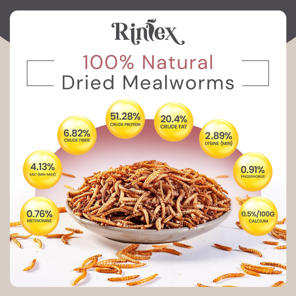 Rinlex dried mealworms at an outdoor wild bird feeder