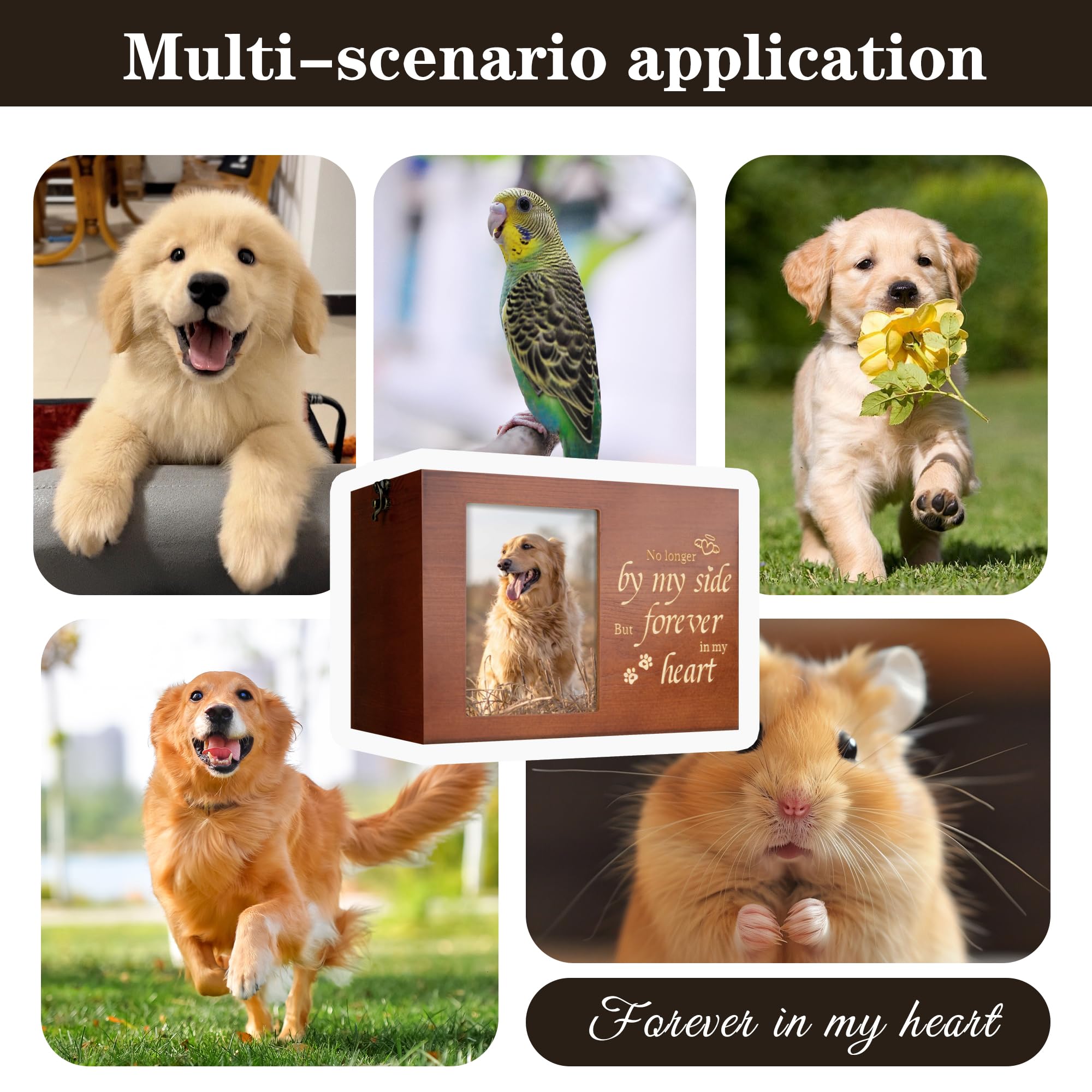 RINVEE pet urn includes stickers and commemorative card for personalization