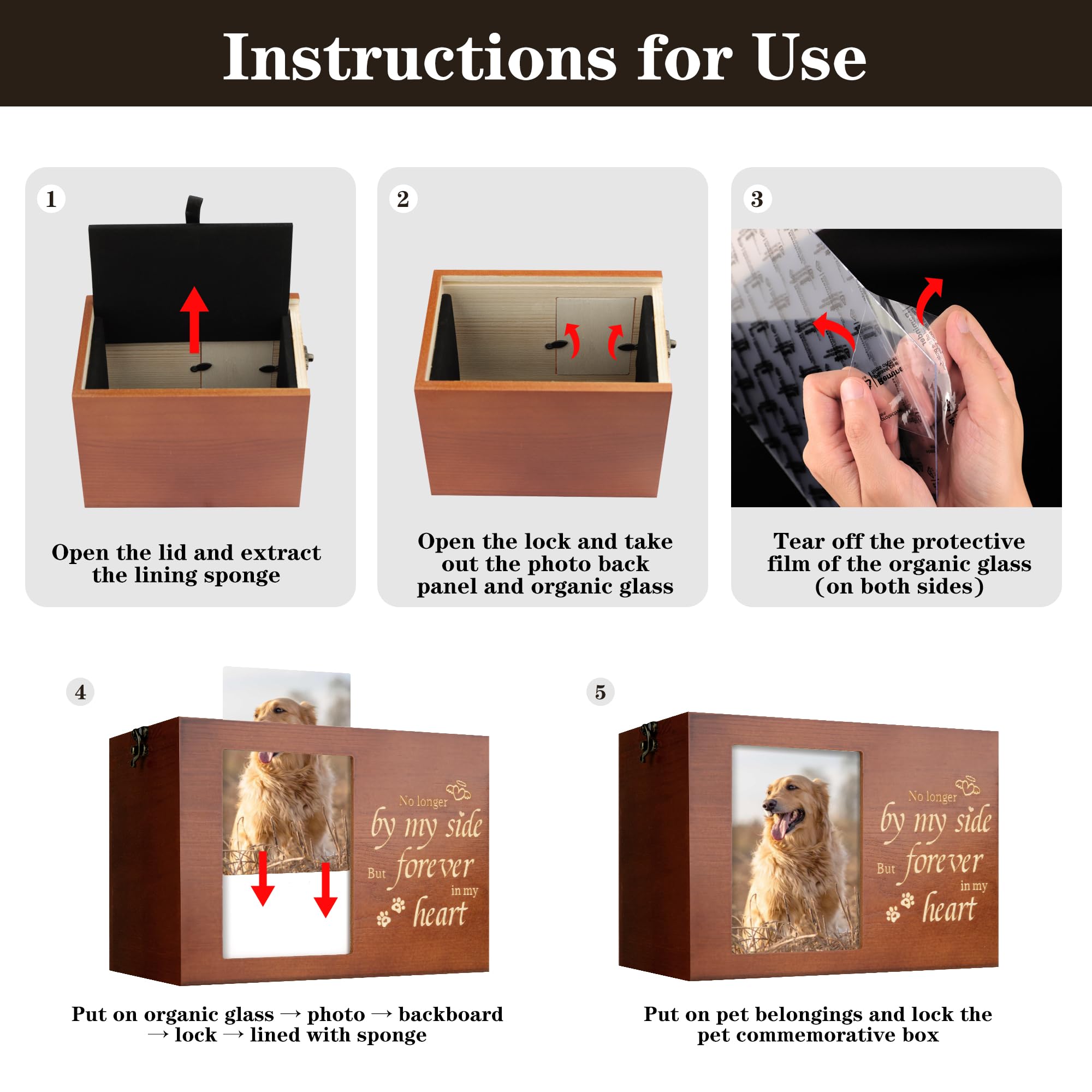 RINVEE pet urn organic glass protection for photo display