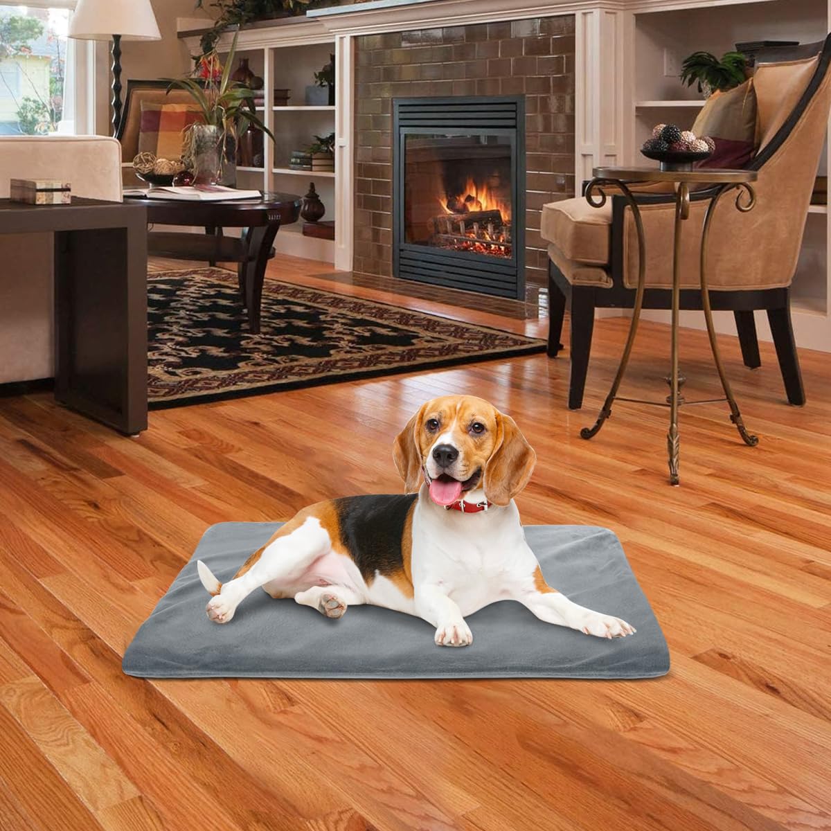 RIOGOO chew-resistant cord closeup emphasizes pet safety