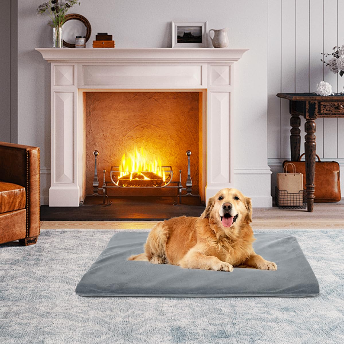 RIOGOO pet heating pad in use shows cozy comfort for recovery or winter warmth.