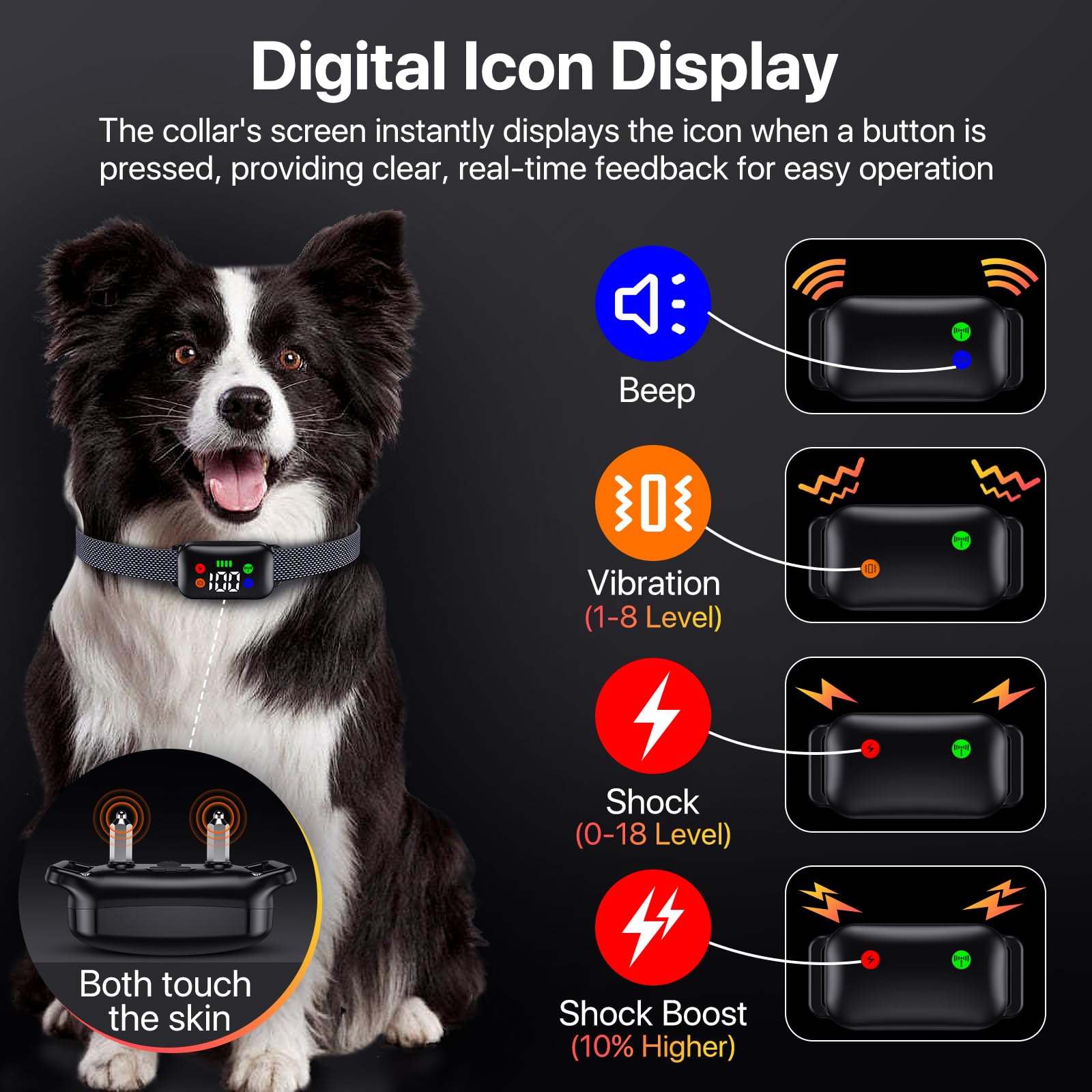 Riroga IP68 waterproof collar ready for swimming and rain sessions